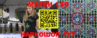 spice Кунгур
