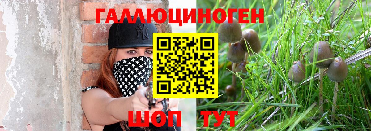 Галлюциногенные грибы Psilocybe  Псилоцибиновые грибы ЛСД  Ухта  Вход с VPN 
