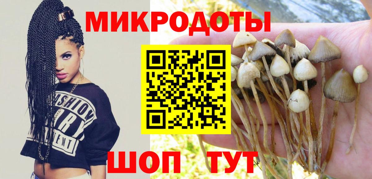 Галлюциногенные грибы GOLDEN TEACHER Ухта